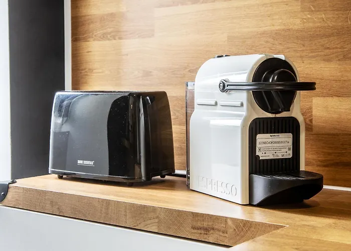 L'authentique - Centre De Avec Jardin Dax