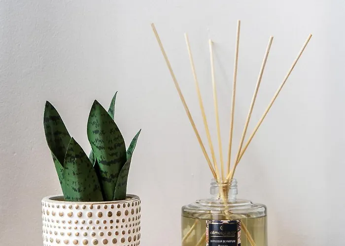 L'authentique - Centre De Avec Jardin Apartment Dax